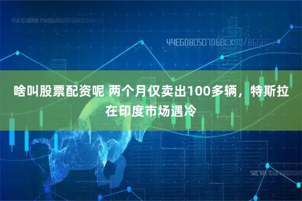 啥叫股票配资呢 两个月仅卖出100多辆，特斯拉在印度市场遇冷
